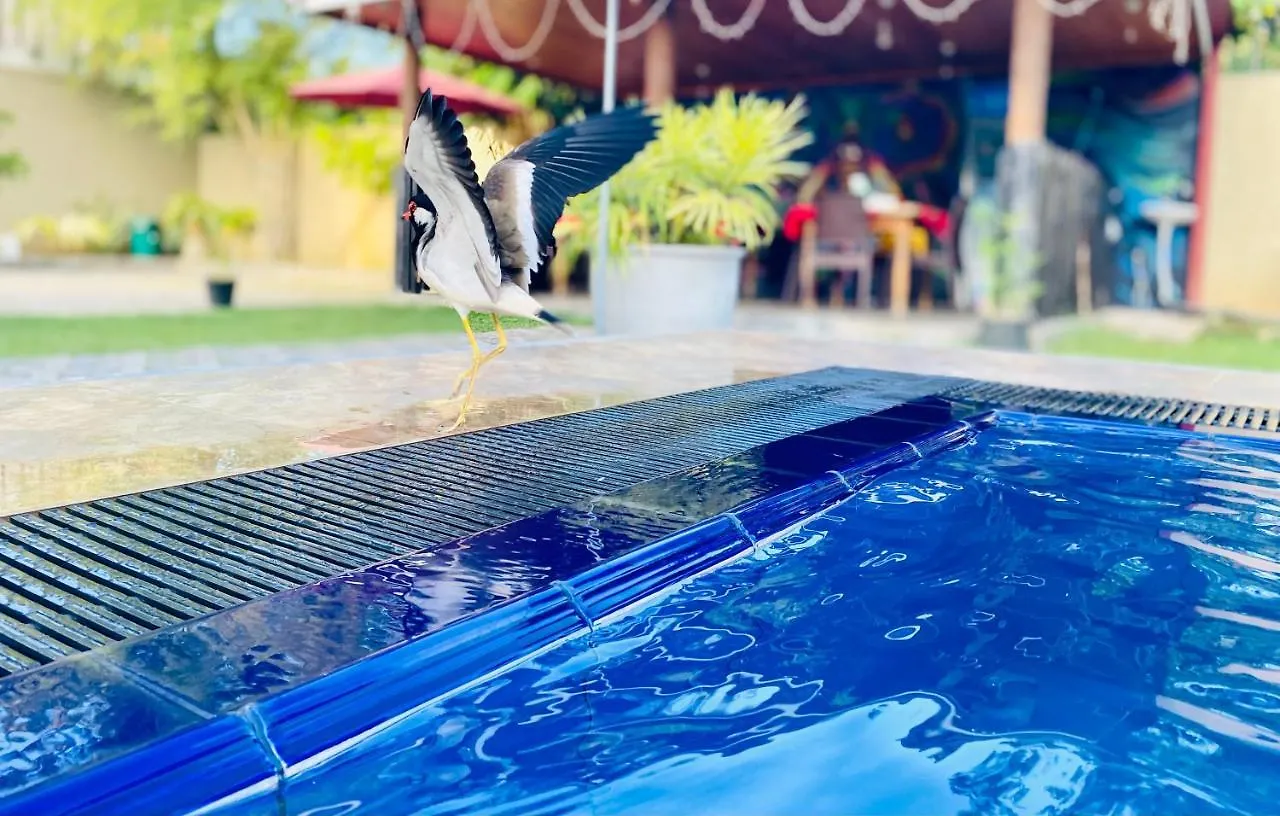 The Kingslayer Resort Negombo