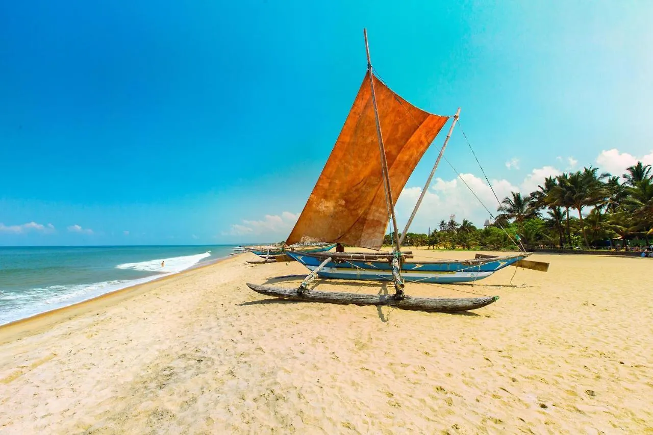 The Kingslayer Resort Negombo